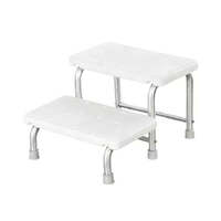 Steps Stainless Steel Frame Double Tread