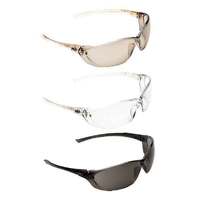 Pro Choice Safety Gear Richter Safety Glasses 12 Pack