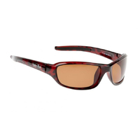 Ugly Fish P1077 Brown Tortoise Shell Frame Brown Lens Fashion Sunglasses