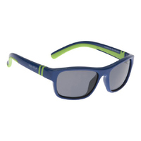 Ugly Fish PK699 Blue Frame Smoke Lens Fashion Sunglasses
